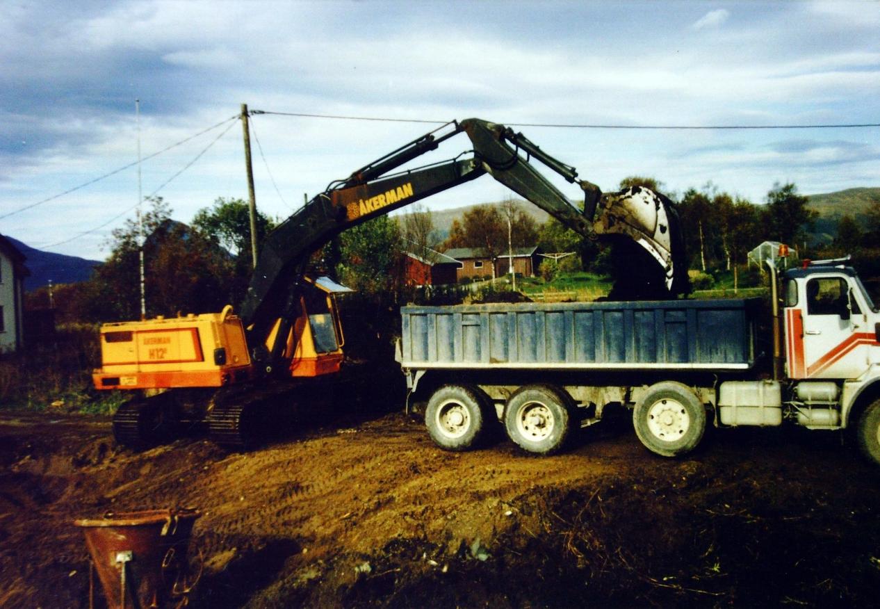 Trauing, 80 tallet