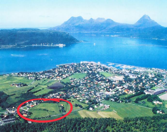 Oversikt over nesna